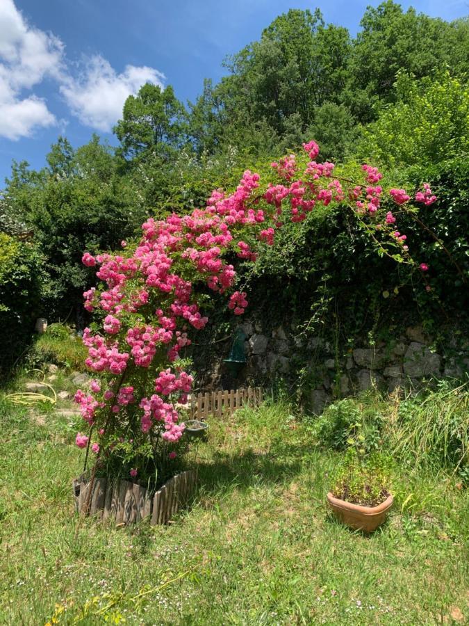 La Moutiere Maison De Vacances Castellane Eksteriør bilde